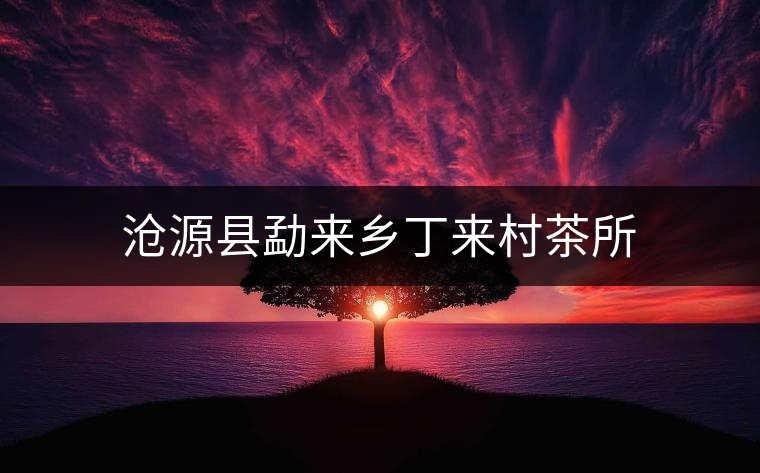 滄源縣勐來(lái)鄉(xiāng)丁來(lái)村茶所