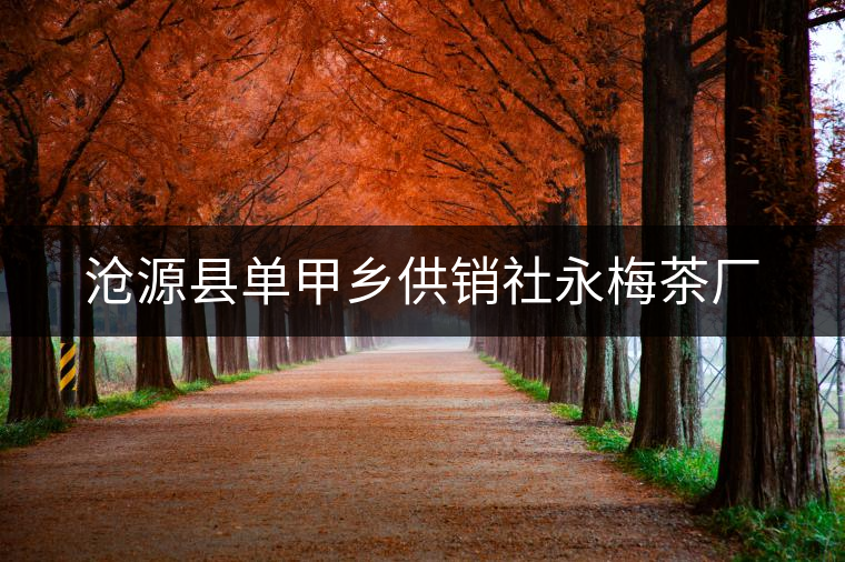 滄源縣單甲鄉(xiāng)供銷社永梅茶廠