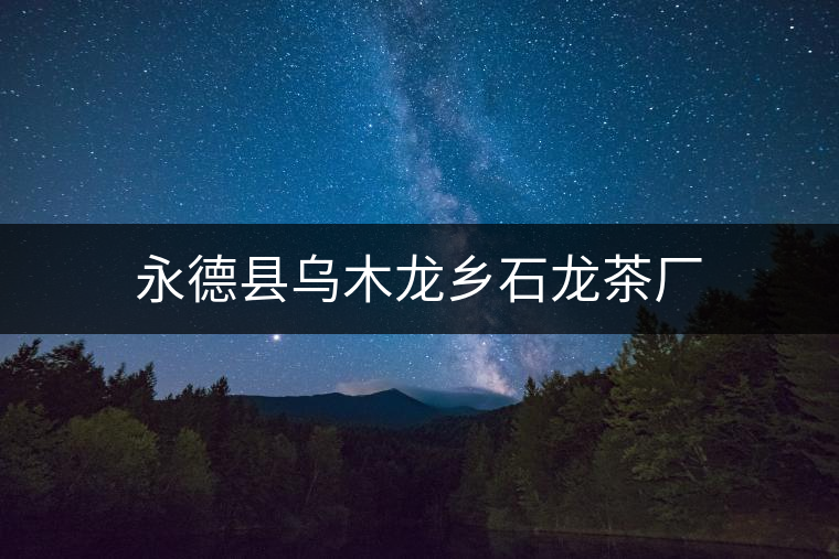 永德縣烏木龍鄉(xiāng)石龍茶廠