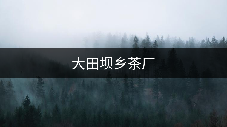 大田壩鄉(xiāng)茶廠