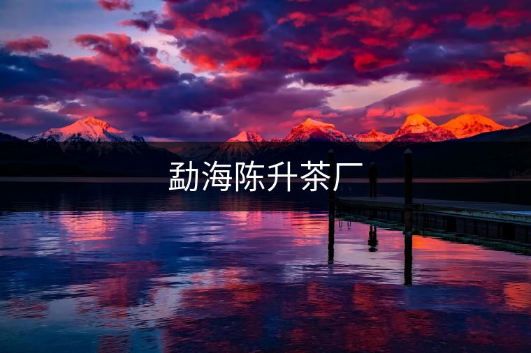 勐海陳升茶廠