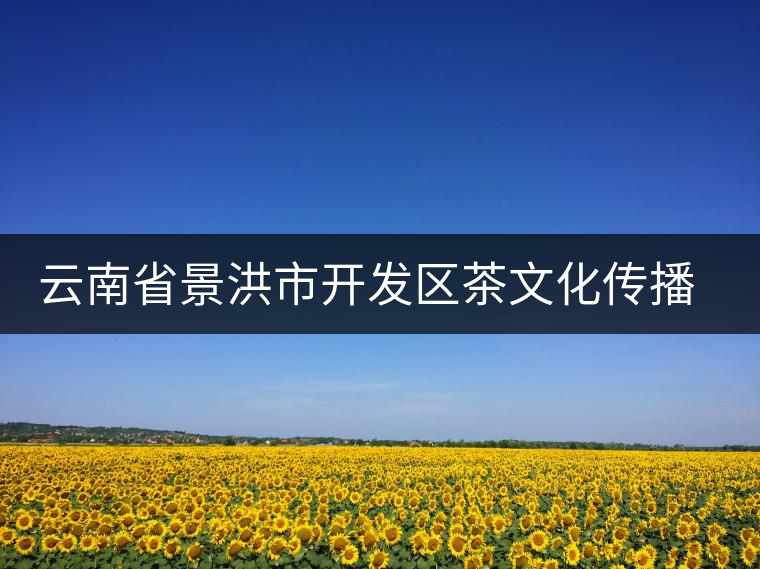 云南省景洪市開發(fā)區(qū)茶文化傳播中心