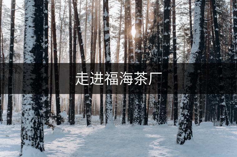 走進福海茶廠