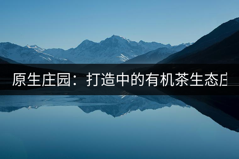 原生莊園:打造中的有機茶生態(tài)莊園(二) 原生莊園:打造中的有機茶生態(tài)莊園(二)