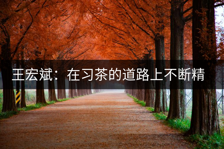 王宏斌:在習茶的道路上不斷精進 王宏斌:在習茶的道路上不斷精進