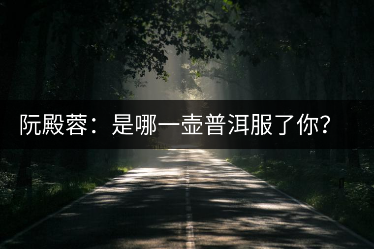 阮殿蓉：是哪一壺普洱服了你？愛茶人士的告白