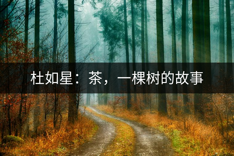 杜如星：茶，一棵樹的故事