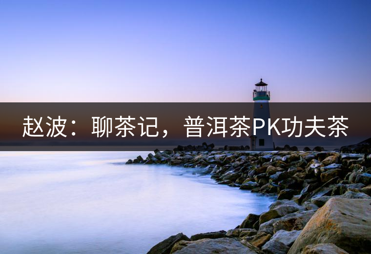 趙波：聊茶記，普洱茶PK功夫茶