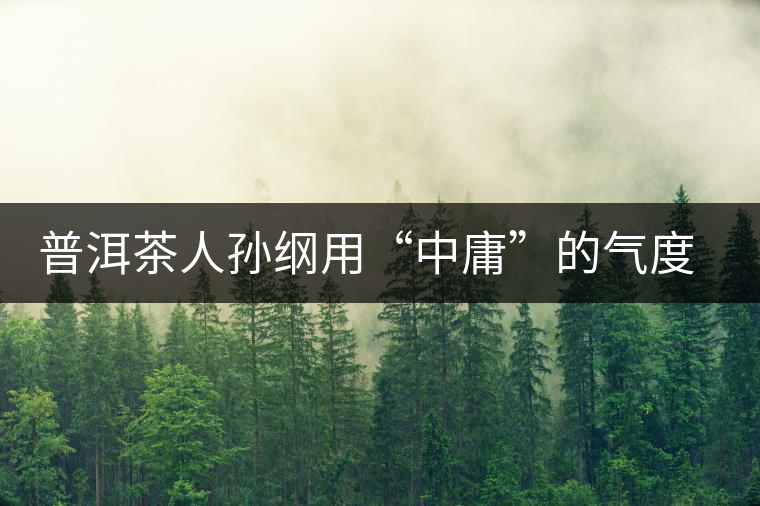 普洱茶人孫綱用“中庸”的氣度來愛茶
