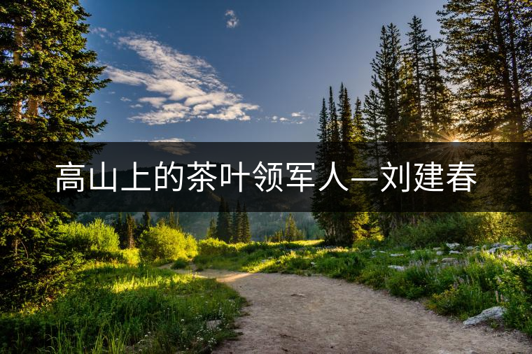 高山上的茶葉領(lǐng)軍人—?jiǎng)⒔ù? alt=