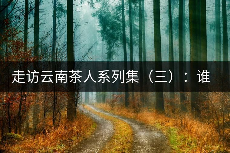 走訪云南茶人系列集（三）：誰說普洱不產茶？——張順高