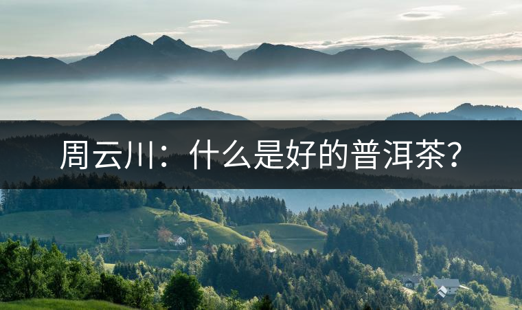 周云川：什么是好的普洱茶？