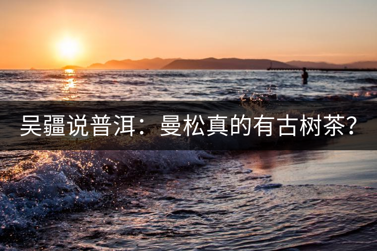 吳疆說普洱：曼松真的有古樹茶？