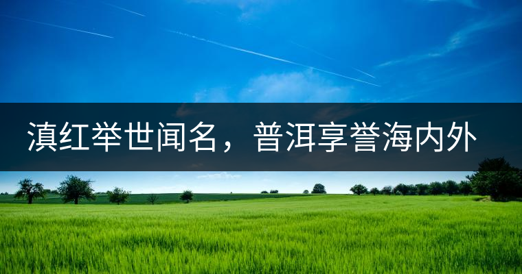 滇紅舉世聞名，普洱享譽海內(nèi)外丨專家座談——虞富蓮