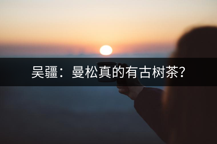 吳疆：曼松真的有古樹茶？