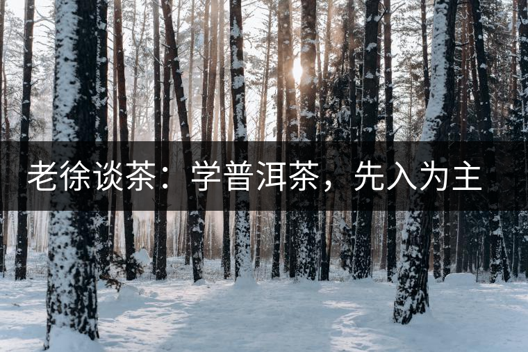 老徐談茶：學(xué)普洱茶，先入為主易被打臉，還得實(shí)踐出真知！