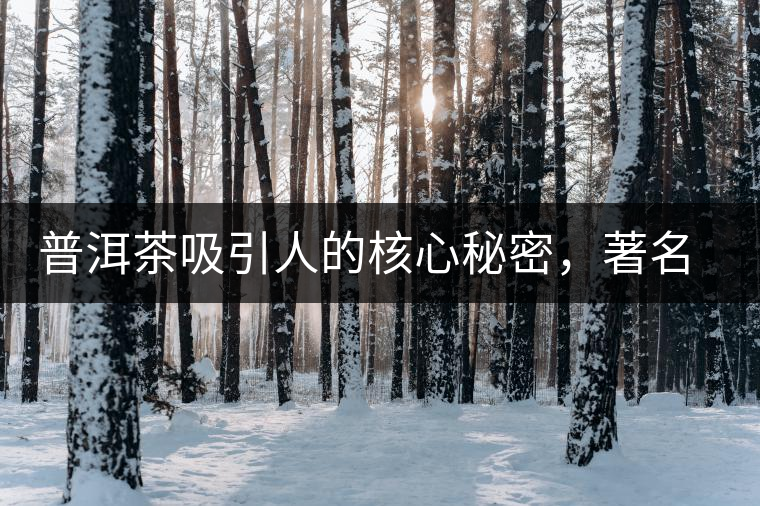普洱茶吸引人的核心秘密，著名作家余秋雨先生三句話就告訴你