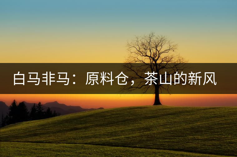 白馬非馬：原料倉(cāng)，茶山的新風(fēng)景