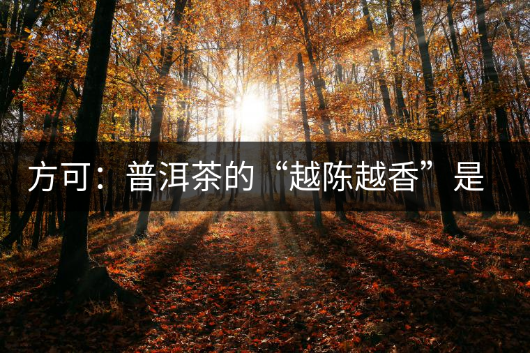 方可：普洱茶的“越陳越香”是有條件、有技術(shù)的