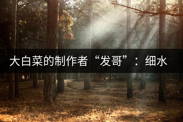 大白菜的制作者“發(fā)哥”：細水長流，做茶“急不得”