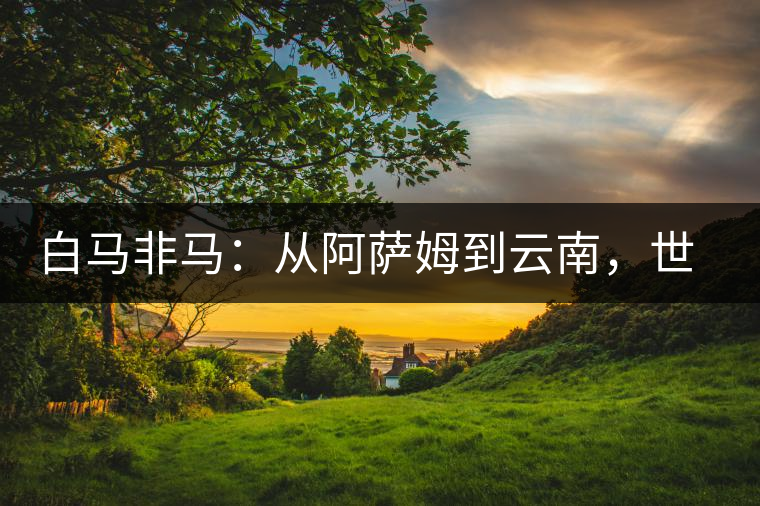 白馬非馬：從阿薩姆到云南，世界茶樹起源爭(zhēng)論的誤區(qū)