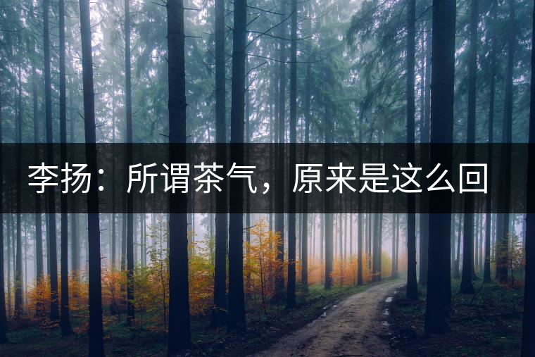 李揚(yáng)：所謂茶氣，原來(lái)是這么回事