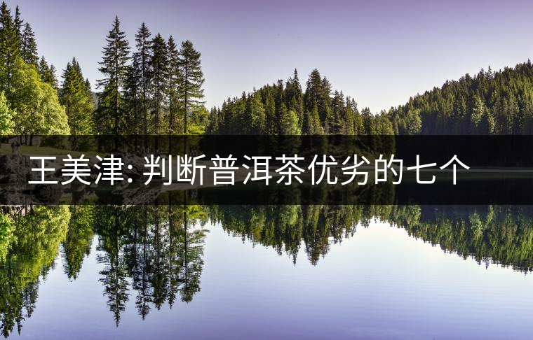 王美津: 判斷普洱茶優(yōu)劣的七個指標(biāo) 王美津: 判斷普洱茶優(yōu)劣的七個指標(biāo)