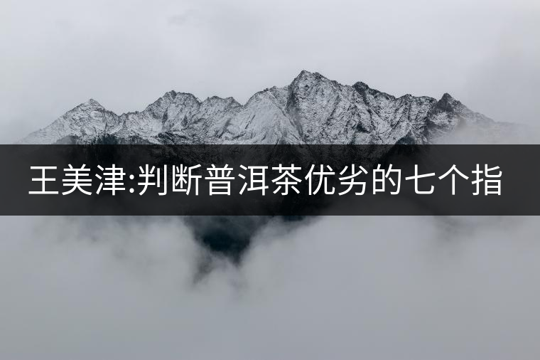 王美津:判斷普洱茶優(yōu)劣的七個指標(biāo)之“質(zhì)” 王美津:判斷普洱茶優(yōu)劣的七個指標(biāo)之“質(zhì)”