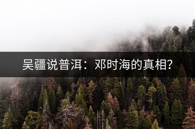 吳疆說普洱：鄧時(shí)海的真相？