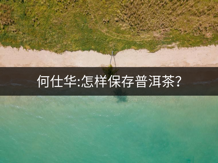 何仕華:怎樣保存普洱茶？