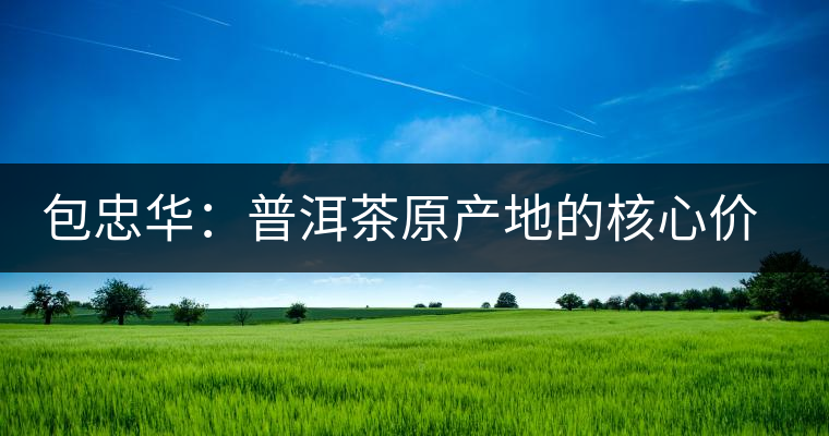包忠華：普洱茶原產(chǎn)地的核心價值觀