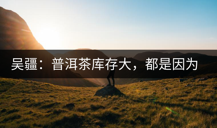 吳疆：普洱茶庫存大，都是因為“越陳越香”