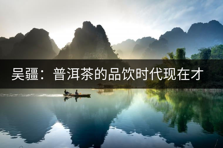 吳疆：普洱茶的品飲時代現(xiàn)在才開始