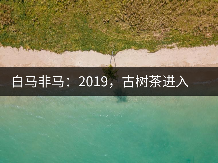 白馬非馬：2019，古樹(shù)茶進(jìn)入醇料時(shí)代