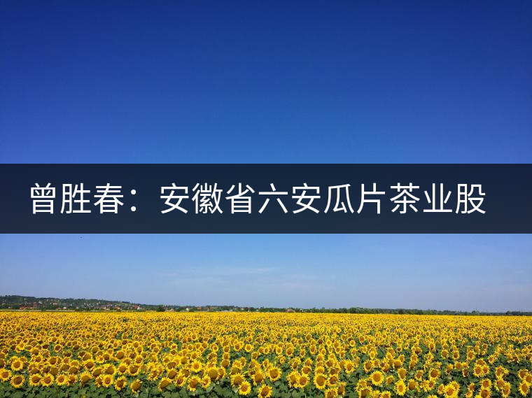 曾勝春:安徽省六安瓜片茶業(yè)股份有限公司董事長 曾勝春:安徽省六安瓜片茶業(yè)股份有限公司董事長