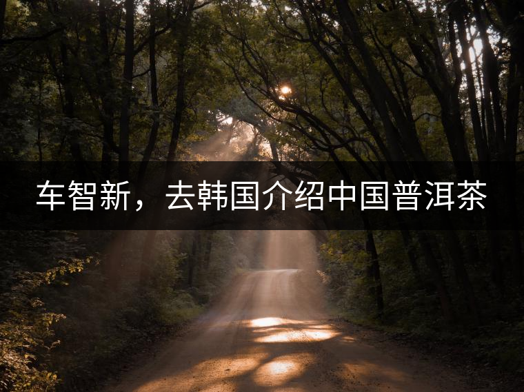 車智新，去韓國介紹中國普洱茶