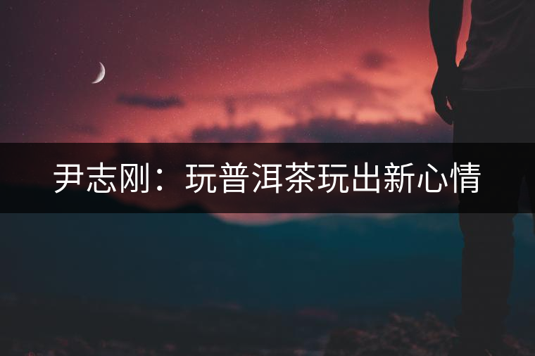 尹志剛：玩普洱茶玩出新心情