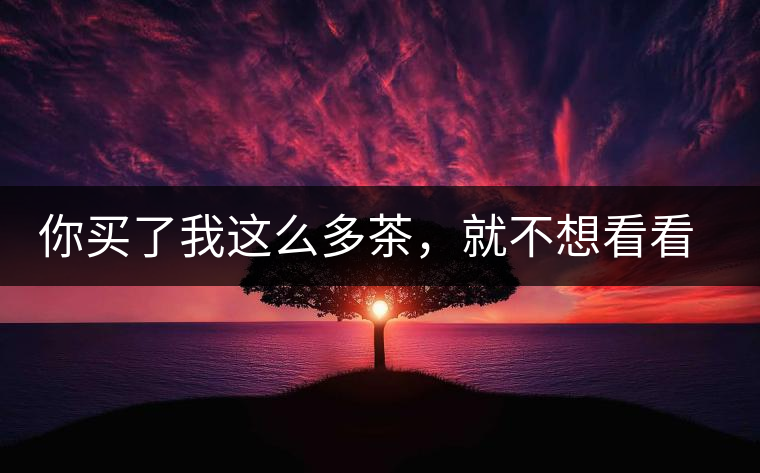 你買了我這么多茶，就不想看看我長什么樣？