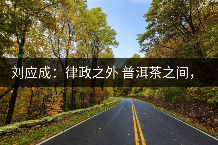 劉應(yīng)成：律政之外 普洱茶之間，在峨毛茶上的三個(gè)首創(chuàng)
