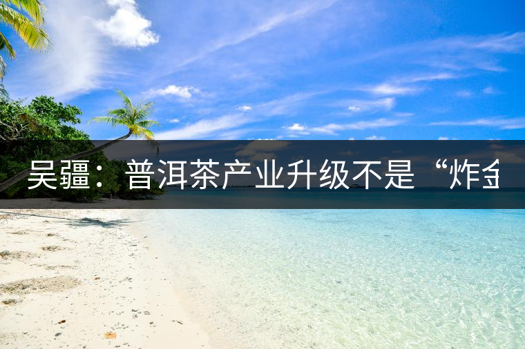 吳疆：普洱茶產(chǎn)業(yè)升級(jí)不是“炸金花”