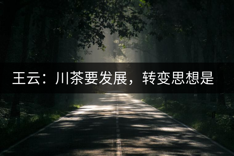 王云：川茶要發(fā)展，轉(zhuǎn)變思想是關(guān)鍵