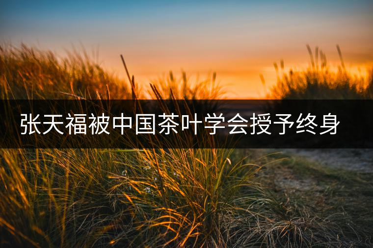 張?zhí)旄1恢袊枞~學會授予終身成就獎 張?zhí)旄1恢袊枞~學會授予終身成就獎