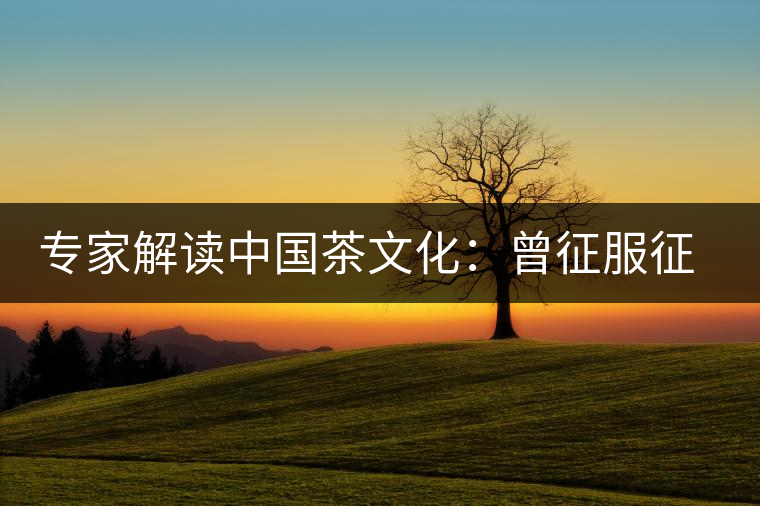專家解讀中國茶文化:曾征服征服沙皇 專家解讀中國茶文化:曾征服征服沙皇