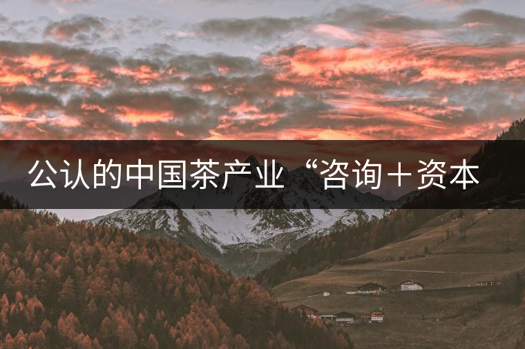 公認(rèn)的中國(guó)茶產(chǎn)業(yè)“咨詢(xún)+資本”第一人:蔣同 公認(rèn)的中國(guó)茶產(chǎn)業(yè)“咨詢(xún)+資本”第一人:蔣同