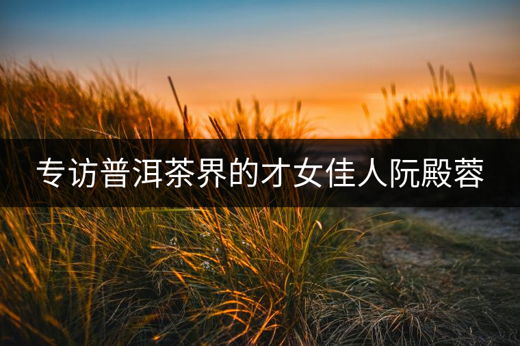 專訪普洱茶界的才女佳人阮殿蓉