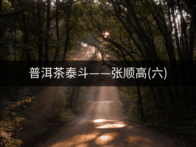 普洱茶泰斗——張順高(六)