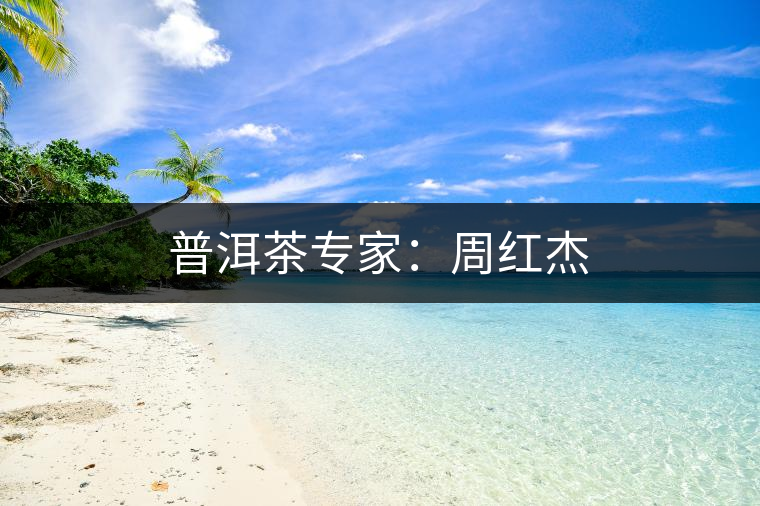 普洱茶專家：周紅杰