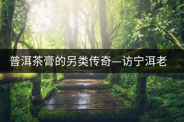 普洱茶膏的另類傳奇—訪寧洱老茶人湯謨