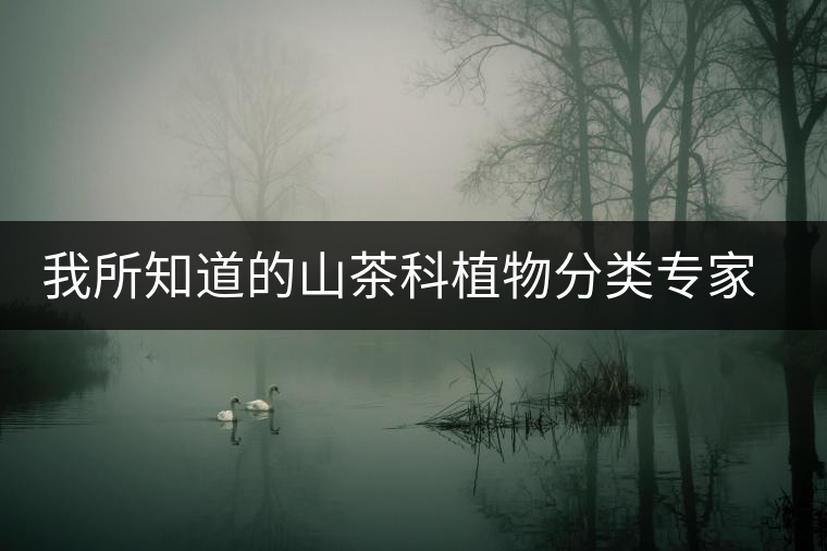 我所知道的山茶科植物分類專家：張宏達先生