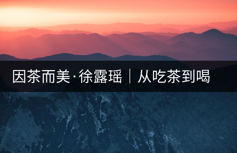 因茶而美·徐露瑤｜從吃茶到喝茶的日子